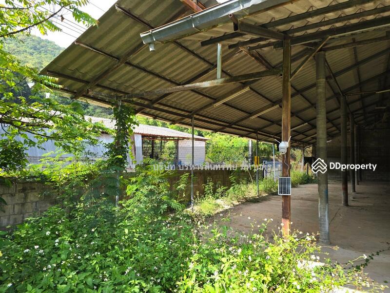ขาย - โกดัง พร้อมโรงอบลำไย ขนาด 483 ตรว.ต.สบเตี๊ยะ อ.จอมทอง จ.เชียงใหม่, เชียงใหม่