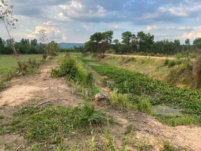 ขาย - ขายที่ดินนนทรี 12 ไร่ คลองตัดผ่านที่ดิน ใกล้ถนนสุวรรณศร33-5กม. อ.กบินทร์บุรี, ปราจีนบุรี