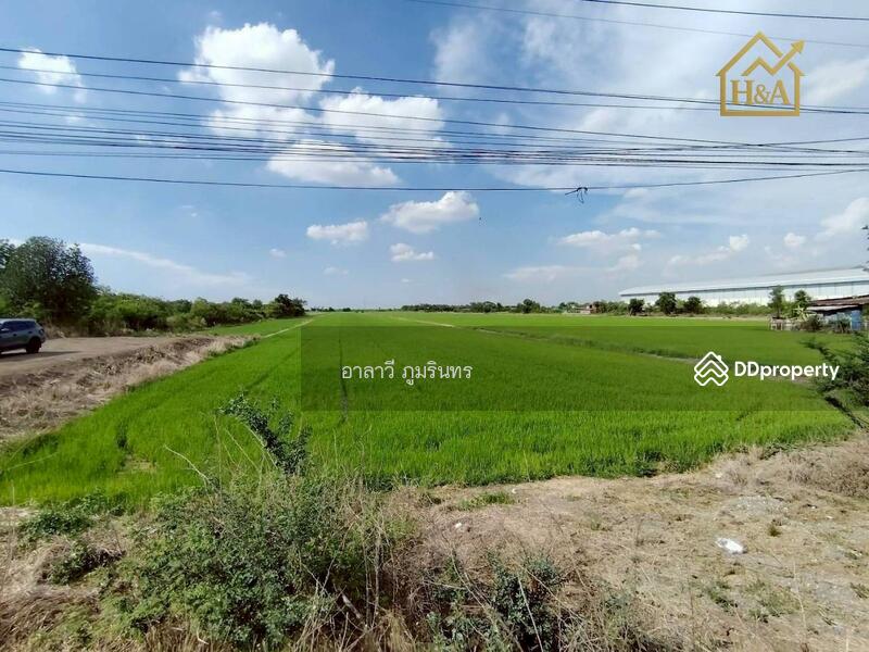 For Sale - -, Phra Nakhon Si Ayutthaya