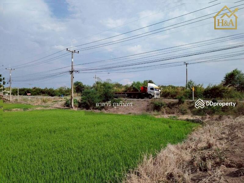 For Sale - -, Phra Nakhon Si Ayutthaya