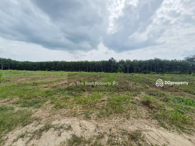 For Sale - ที่ดินเวียงสระ สุราษฎร์ธานี, Surat Thani
