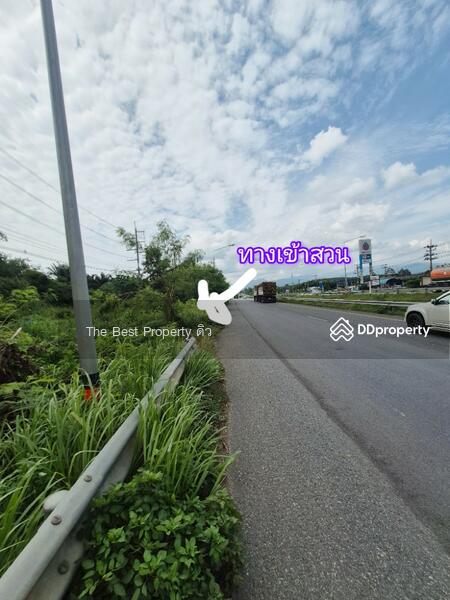 ขาย - ที่ดินเวียงสระ สุราษฎร์ธานี, สุราษฎร์ธานี