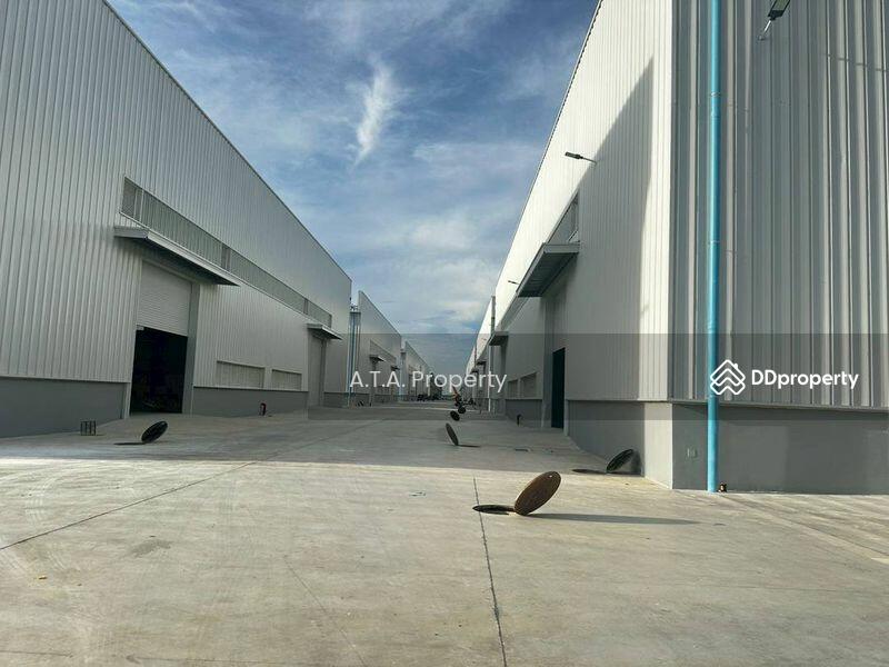 For Rent - Warehouse, factory, Rayong, dark purple map, in Amata City Industrial Estate, Rayong