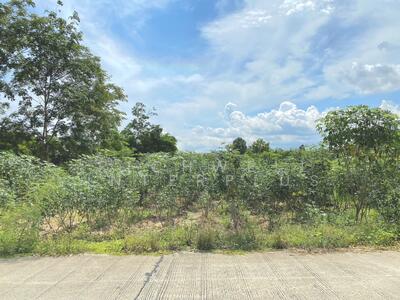 ขาย - ขายที่ดินบางบุตร 200 ตรว. ถมแล้วใกล้ถนนเส้น3471-1กม. อ.บ้านค่าย, ระยอง