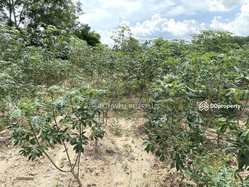 For Sale - Land for sale in Bang But, 200 sq m, filled in, near Road 3471-1 km,, Rayong