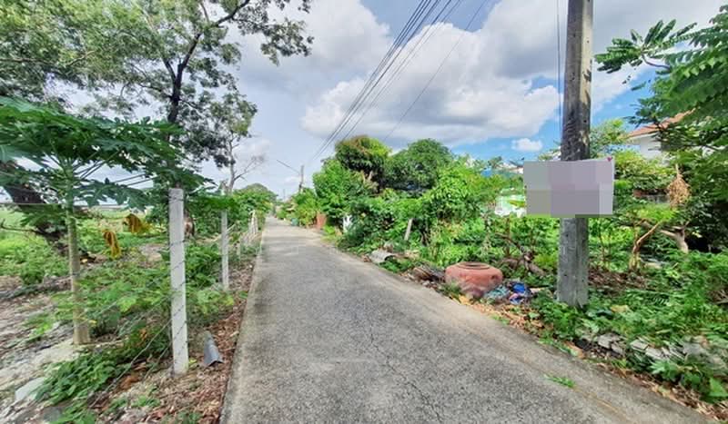 ที่ดินเปล่า เนื้อที่ 50 ตรว. ซอยทหารบก 2 ถนนลำลูกกา ต.คูคต อ.ลำลูกกา จ.ปทุมธานี, ปทุมธานี, คูคต, ลำลูกกา, ปทุมธานี, 200 ตร.ม., ที่ดิน ขาย, โดย ชนะชาติ นนท์ตา, 60130592 - DDproperty.com