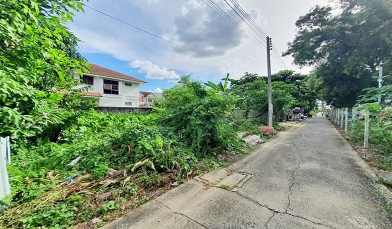 ที่ดินเปล่า เนื้อที่ 50 ตรว. ซอยทหารบก 2 ถนนลำลูกกา ต.คูคต อ.ลำลูกกา จ.ปทุมธานี, ปทุมธานี, คูคต, ลำลูกกา, ปทุมธานี, 200 ตร.ม., ที่ดิน ขาย, โดย ชนะชาติ นนท์ตา, 60130592 - DDproperty.com
