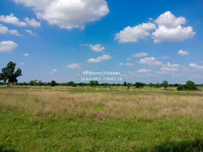 ขาย - ที่ดิน 28 ไร่ 3 งาน บ้านหนองกก, นครราชสีมา