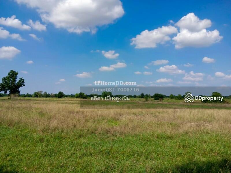 For Sale - Land for sale 28 rai, 3 ngan Ban Nong Kok, Nakhon Ratchasima