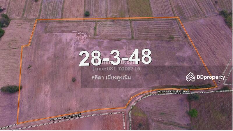 For Sale - Land for sale 28 rai, 3 ngan Ban Nong Kok, Nakhon Ratchasima