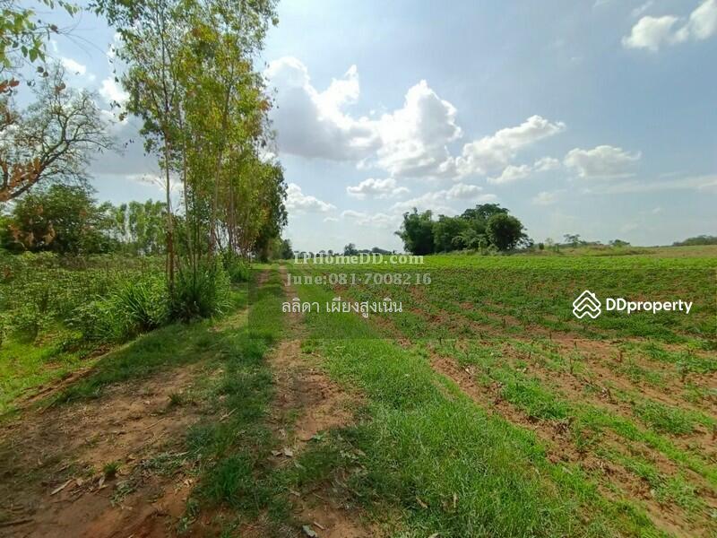 For Sale - Land for sale 28 rai, 3 ngan Ban Nong Kok, Nakhon Ratchasima