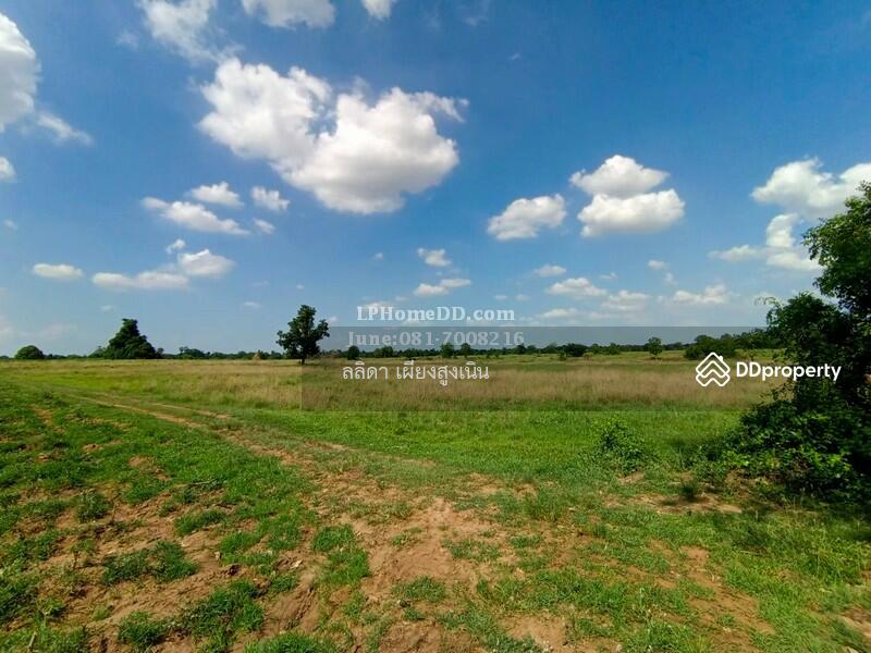 For Sale - Land for sale 28 rai, 3 ngan Ban Nong Kok, Nakhon Ratchasima