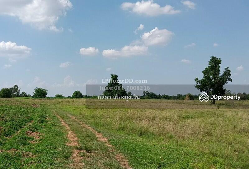For Sale - Land for sale 28 rai, 3 ngan Ban Nong Kok, Nakhon Ratchasima