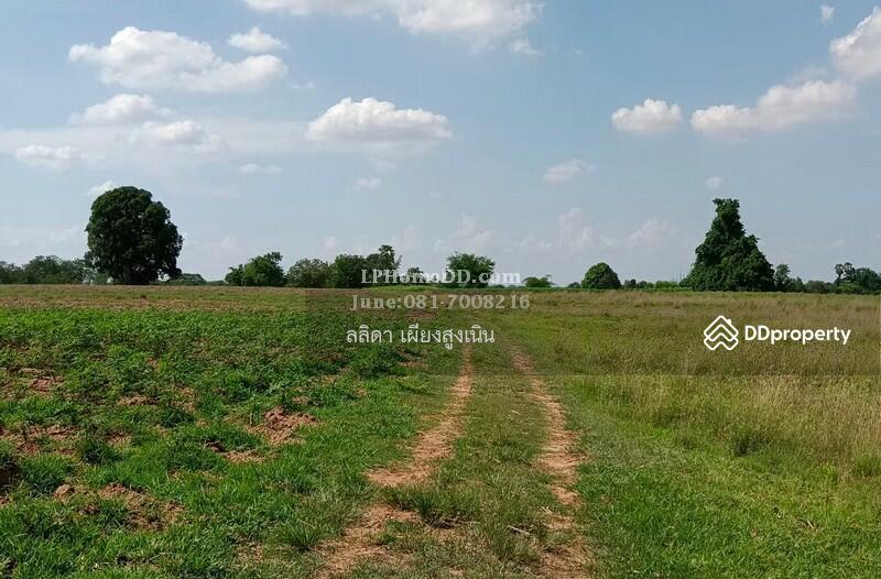 For Sale - Land for sale 28 rai, 3 ngan Ban Nong Kok, Nakhon Ratchasima