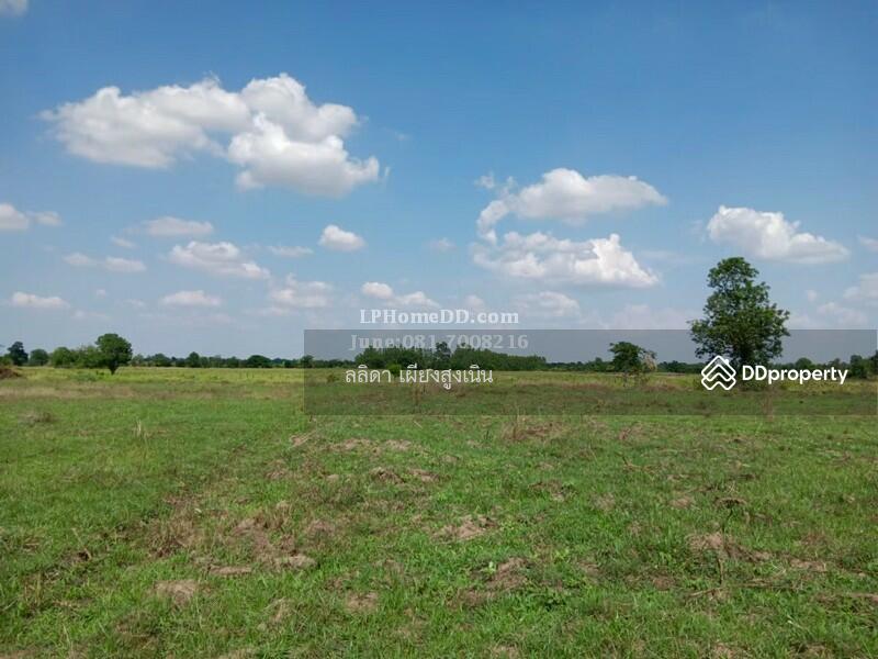 For Sale - Land for sale 28 rai, 3 ngan Ban Nong Kok, Nakhon Ratchasima