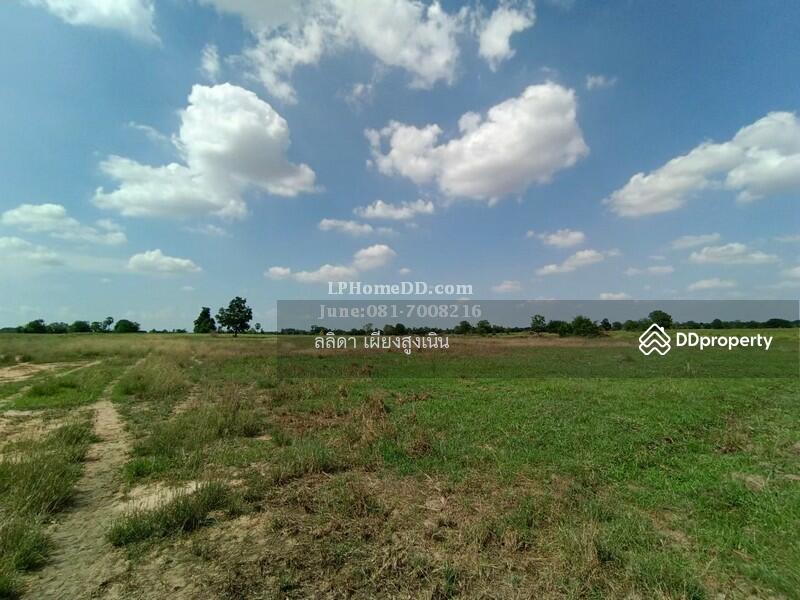 For Sale - Land for sale 28 rai, 3 ngan Ban Nong Kok, Nakhon Ratchasima
