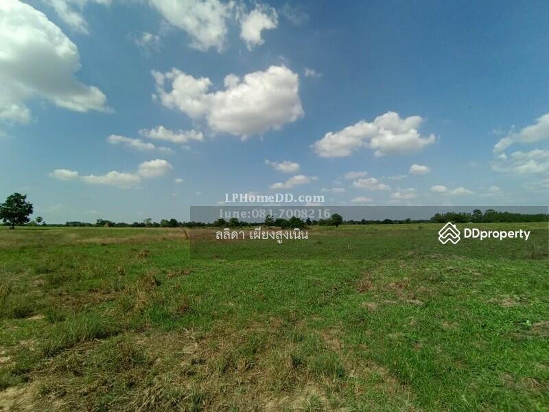 For Sale - Land for sale 28 rai, 3 ngan Ban Nong Kok, Nakhon Ratchasima
