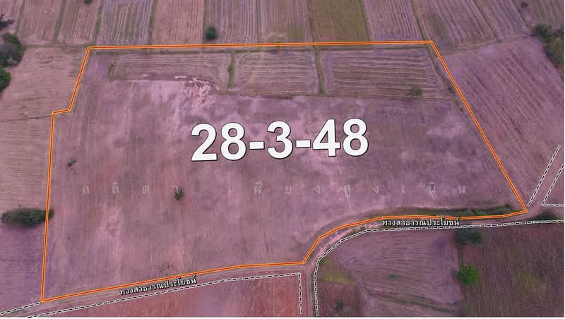 Land for sale 28 rai, 3 ngan Ban Nong Kok, Nakhon Ratchasima, Nong Bua Noi, Sikhiu, Nakhon Ratchasima, , 56,994 sqm, Land For Sale, by Lalida Phiangsungnoen, 60130677 - DDproperty.com