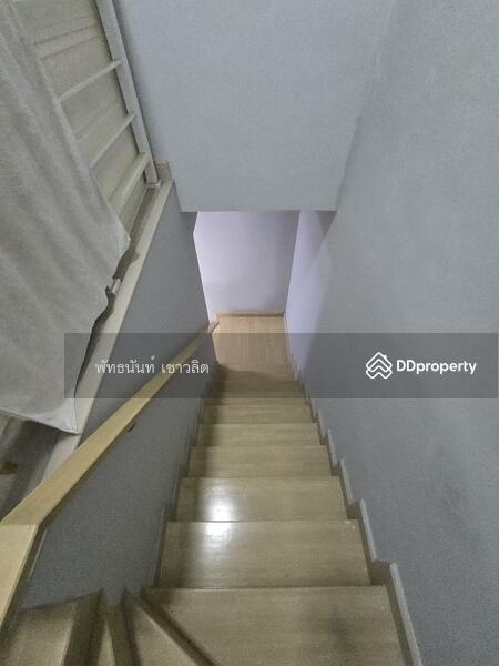 ให้เช่า - Citysense Salaya : ซิตี้เซนส์ ศาลายา, นครปฐม