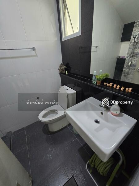 ให้เช่า - Citysense Salaya : ซิตี้เซนส์ ศาลายา, นครปฐม