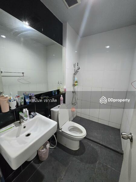ให้เช่า - Citysense Salaya : ซิตี้เซนส์ ศาลายา, นครปฐม