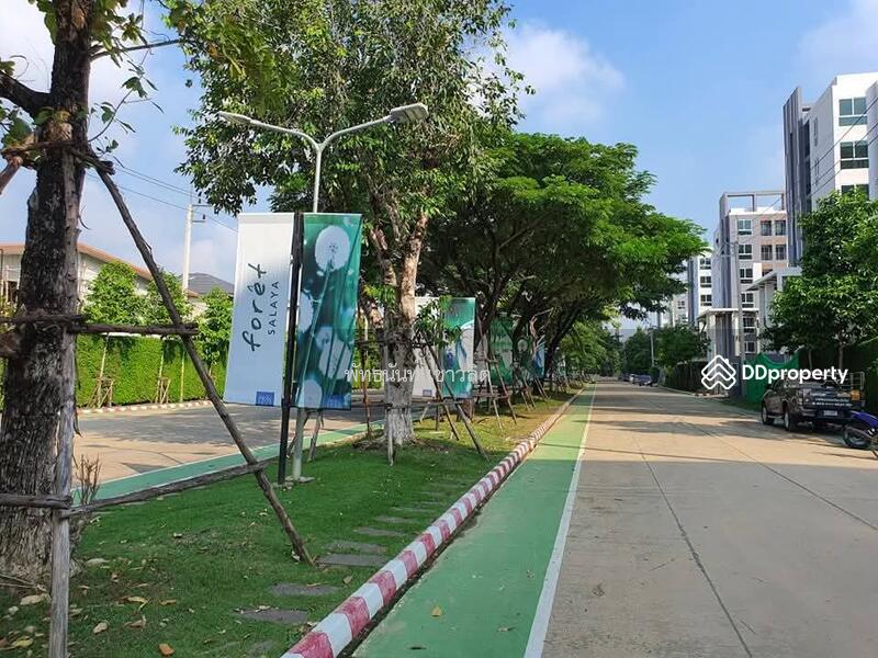 ให้เช่า - Citysense Salaya : ซิตี้เซนส์ ศาลายา, นครปฐม