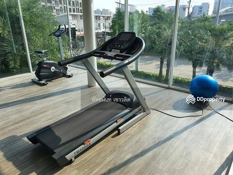 ให้เช่า - Citysense Salaya : ซิตี้เซนส์ ศาลายา, นครปฐม