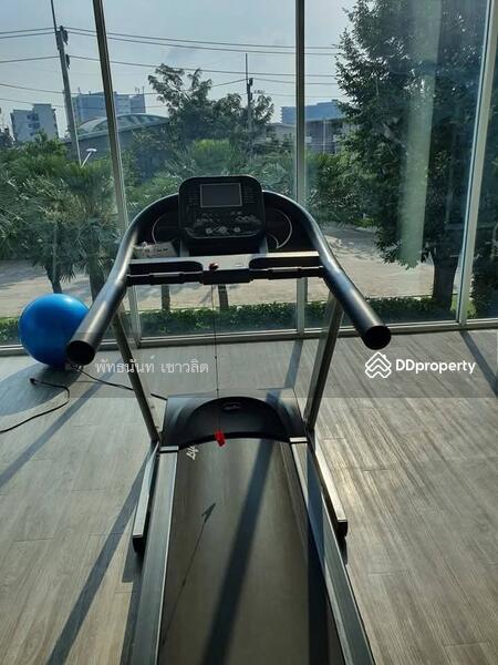 ให้เช่า - Citysense Salaya : ซิตี้เซนส์ ศาลายา, นครปฐม