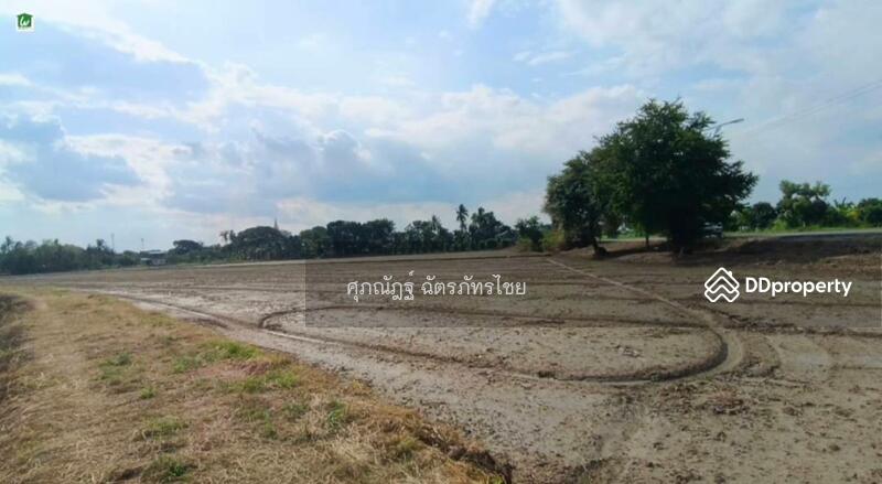 For Sale - Land for sale, 5 rai, Sai Lam Tha Daeng Road, Pho Thong District, Ang Thong Province, Ang Thong