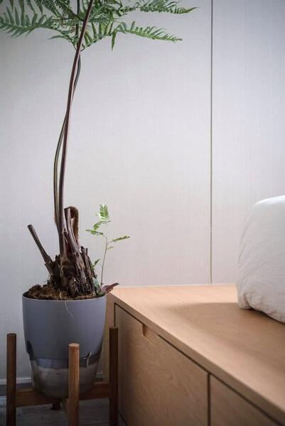 The Line Sukhumvit 101, Bangkok, 3009 Sukhumvit 101 Road, Bang Chak, Phra Khanong, Bangkok, 1 Bedroom, 28 sqm, Condo For Rent, by Agentbkk, 60130933 - DDproperty.com