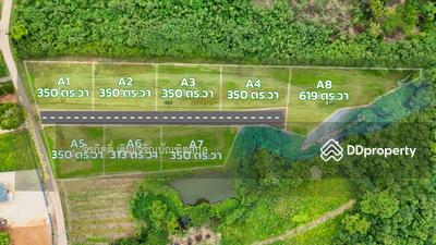 ขาย - ที่ดิน แบ่งแปลงสวย 350 ตรว/แปลง เพียง ตรวละ 12,000 หมูสี เขาใหญ่ ปากช่อง โคราช, นครราชสีมา