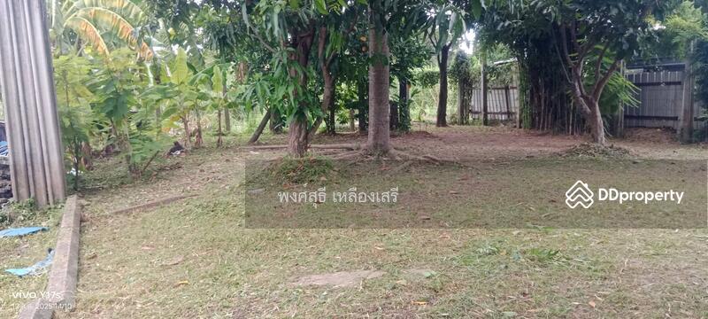 For Sale - 110210, Bangkok