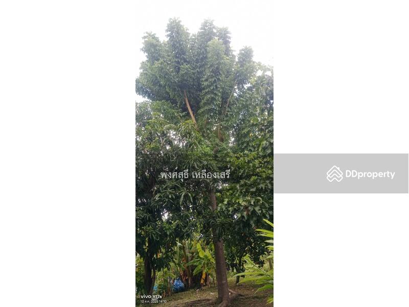 For Sale - 110210, Bangkok