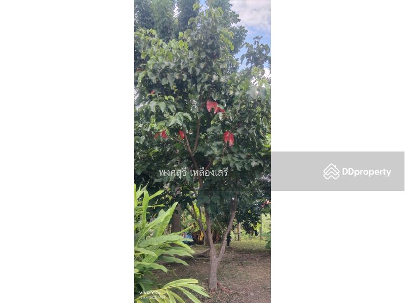 For Sale - 110210, Bangkok
