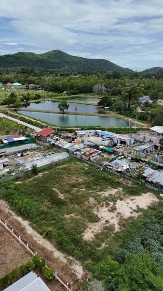 ขายที่ดินทำเลดี 1 ไร่ นาพร้าว ไร่กล้วย ติดถนน ใกล้เจปาร์ค, ชลบุรี, สุรศักดิ์, ศรีราชา, ชลบุรี, 1,600 ตร.ม., ที่ดิน ขาย, โดย ดุสิต แสงฟ้า, 60131180 - DDproperty.com