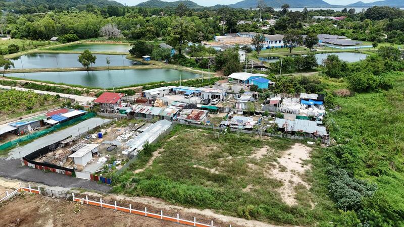 ขายที่ดินทำเลดี 1 ไร่ นาพร้าว ไร่กล้วย ติดถนน ใกล้เจปาร์ค, ชลบุรี, สุรศักดิ์, ศรีราชา, ชลบุรี, 1,600 ตร.ม., ที่ดิน ขาย, โดย ดุสิต แสงฟ้า, 60131180 - DDproperty.com