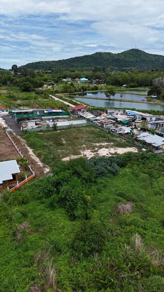 ขายที่ดินทำเลดี 1 ไร่ นาพร้าว ไร่กล้วย ติดถนน ใกล้เจปาร์ค, ชลบุรี, สุรศักดิ์, ศรีราชา, ชลบุรี, 1,600 ตร.ม., ที่ดิน ขาย, โดย ดุสิต แสงฟ้า, 60131180 - DDproperty.com