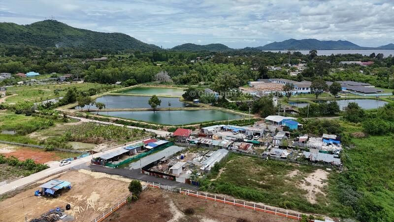 ขายที่ดินทำเลดี 1 ไร่ นาพร้าว ไร่กล้วย ติดถนน ใกล้เจปาร์ค, Chon Buri (Pattaya), Surasak, Si Racha, Chon Buri (Pattaya), , 1,600 sqm, Land For Sale, by Dusit Saengfa, 60131180 - DDproperty.com