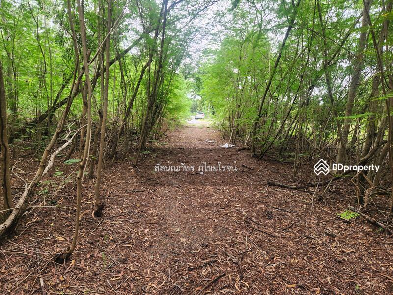 For Sale - Perfect Zone Rangsit Klong 3, Pathum Thani