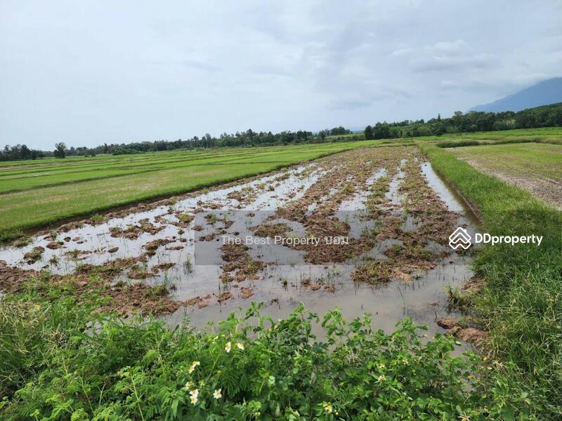 For Sale - ที่ดินท่าจำปี พะเยา, Phayao
