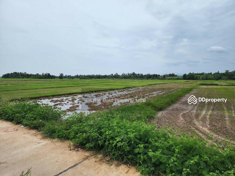 For Sale - ที่ดินท่าจำปี พะเยา, Phayao