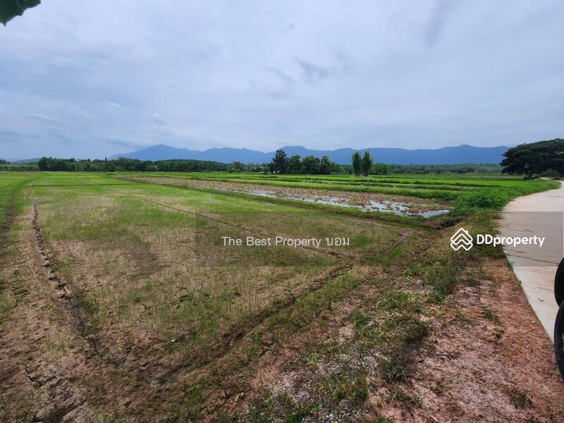 For Sale - ที่ดินท่าจำปี พะเยา, Phayao
