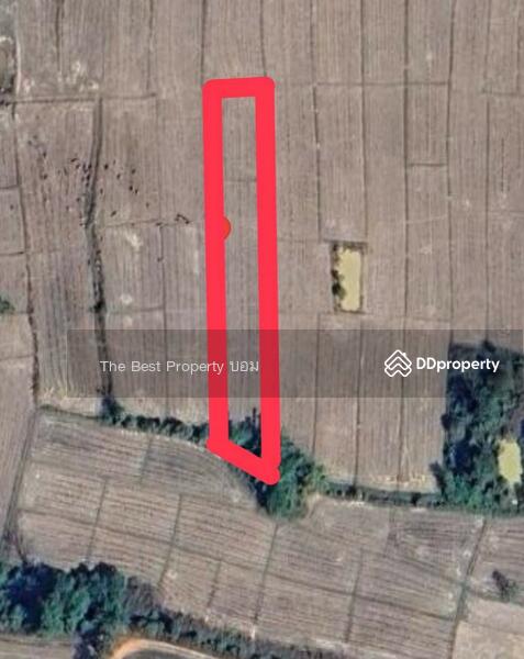 For Sale - ที่ดินท่าจำปี พะเยา, Phayao