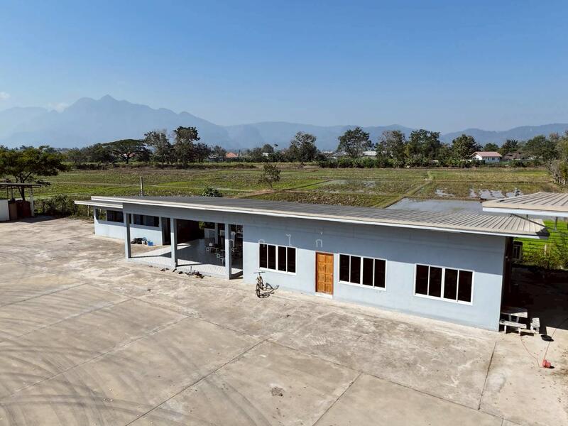 ที่ดินแม่สายใกล้ถนนบายพาส 15-1-54 ไร่ ห่างแยกไฟแดงวัลณี 1 กม., Chiang Rai, Wiang Phang Kham, Mae Sai, Chiang Rai, , 24,616 sqm, Land For Sale, by กุ๊กไก่, 60132237 - DDproperty.com