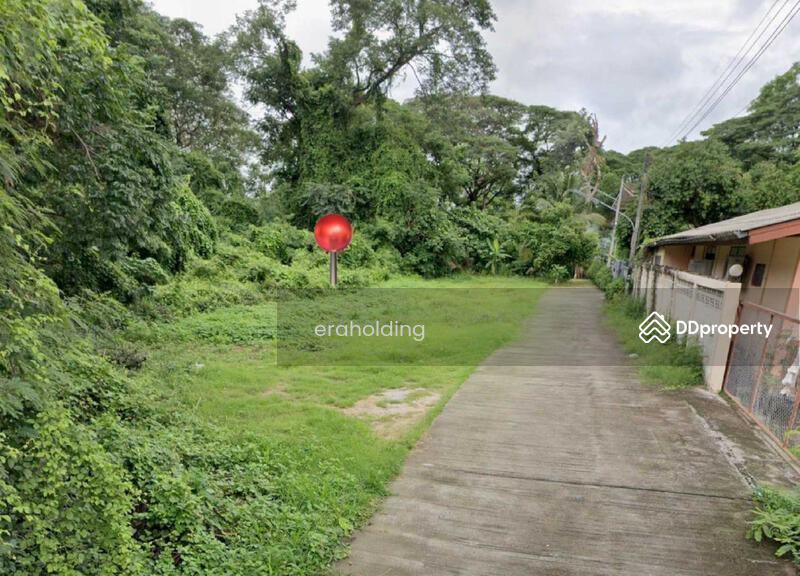 ขาย - เปล่า, ตาก