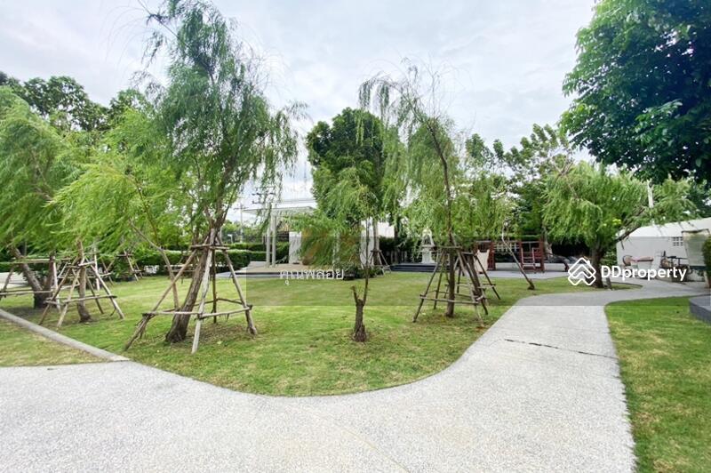 ขาย - The Trust Condo Ngamwongwan : เดอะทรัสต์ คอนโด งามวงศ์วาน, นนทบุรี
