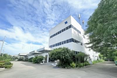 ขาย - ขาย ที่ดิน พร้อม สิ่งปลูกสร้าง ลาดกระบัง Land and buildings for sale in Lat Krabang, กรุงเทพ