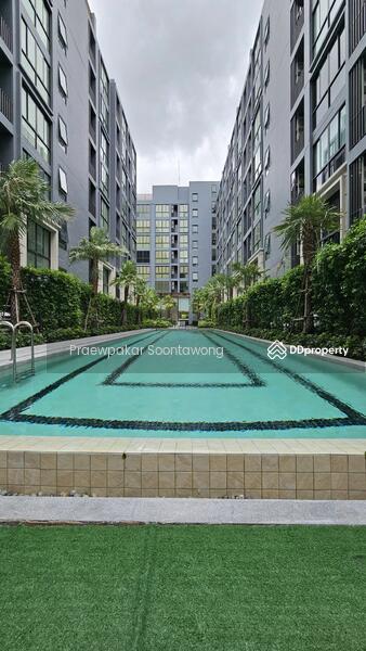 ให้เช่า - Cerocco Bangna 36 : ซีรอคโค บางนา 36, กรุงเทพ