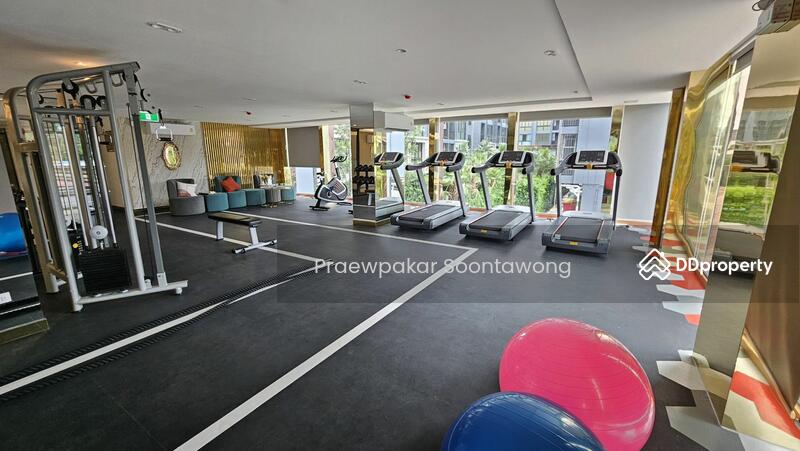ให้เช่า - Cerocco Bangna 36 : ซีรอคโค บางนา 36, กรุงเทพ