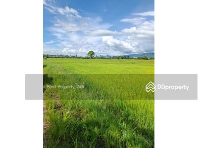 ขาย - ที่ดินเทิง เชียงราย, เชียงราย